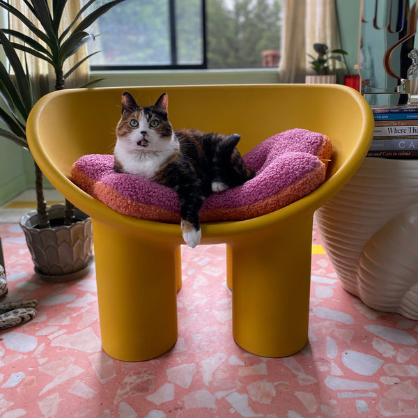 Load image into Gallery viewer, The Canyon Bed - Melrose